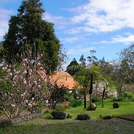Bio Quinta Do Pantano, Agro Turismo Βίλα Santo Antonio da Serra Εξωτερικό φωτογραφία