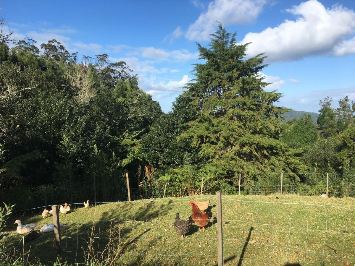 Bio Quinta Do Pantano, Agro Turismo Βίλα Santo Antonio da Serra Εξωτερικό φωτογραφία