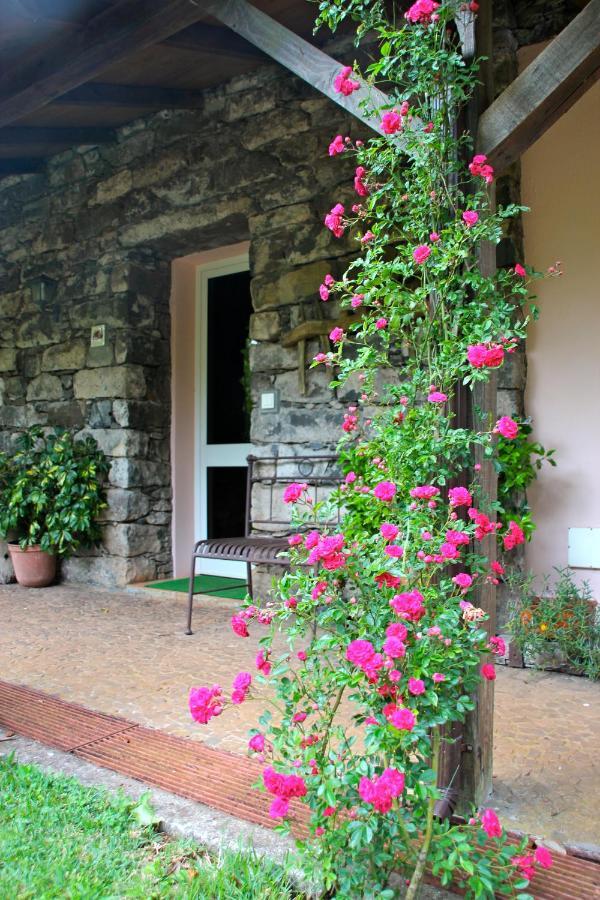 Bio Quinta Do Pantano, Agro Turismo Βίλα Santo Antonio da Serra Εξωτερικό φωτογραφία