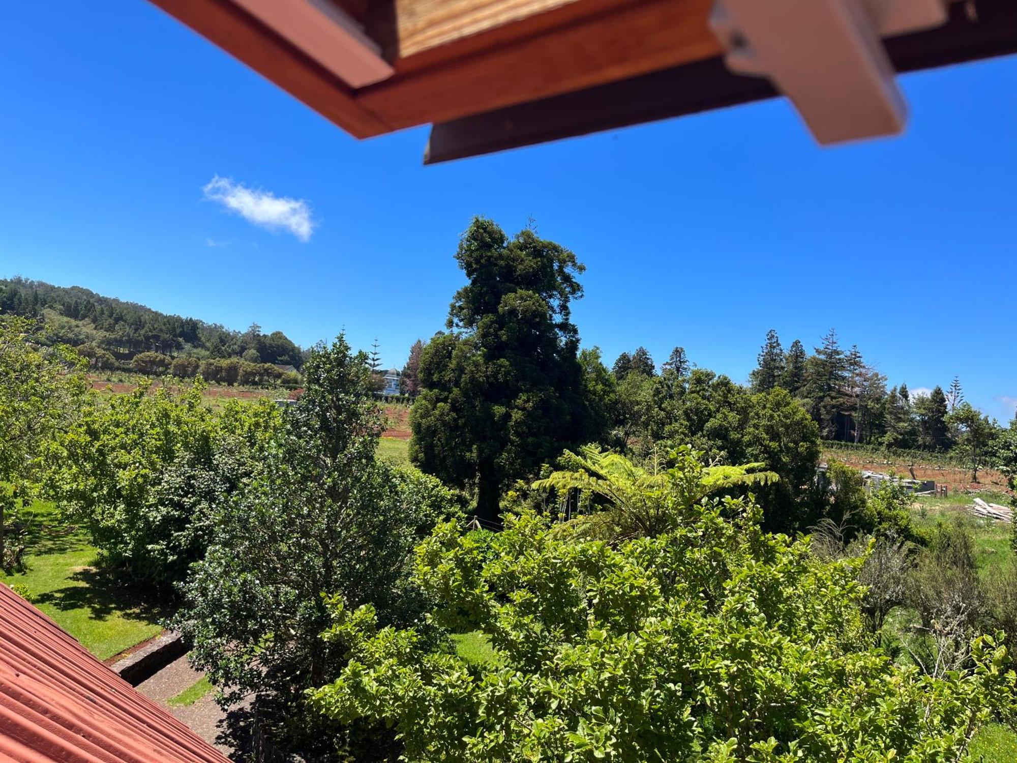 Bio Quinta Do Pantano, Agro Turismo Βίλα Santo Antonio da Serra Εξωτερικό φωτογραφία