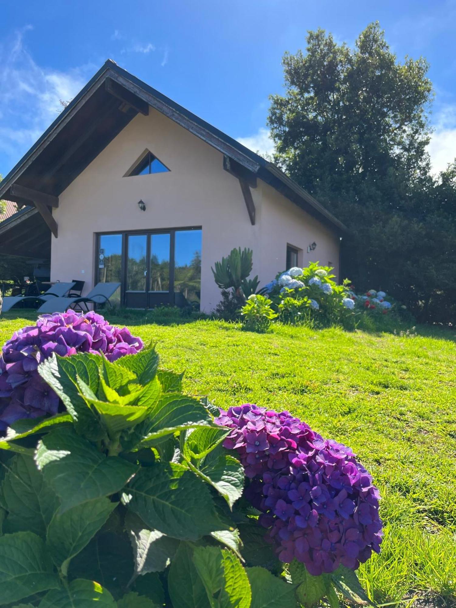 Bio Quinta Do Pantano, Agro Turismo Βίλα Santo Antonio da Serra Εξωτερικό φωτογραφία