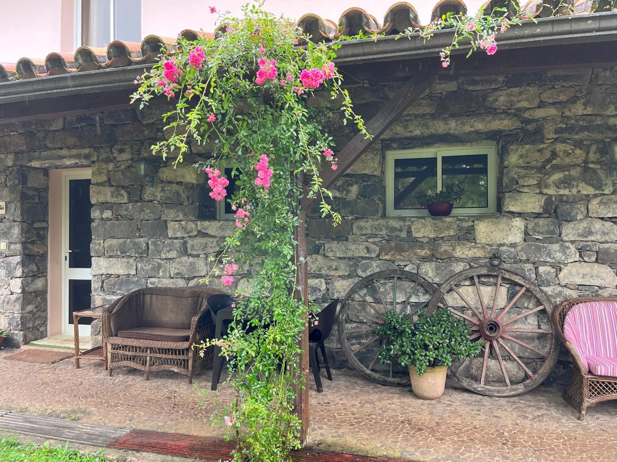 Bio Quinta Do Pantano, Agro Turismo Βίλα Santo Antonio da Serra Εξωτερικό φωτογραφία