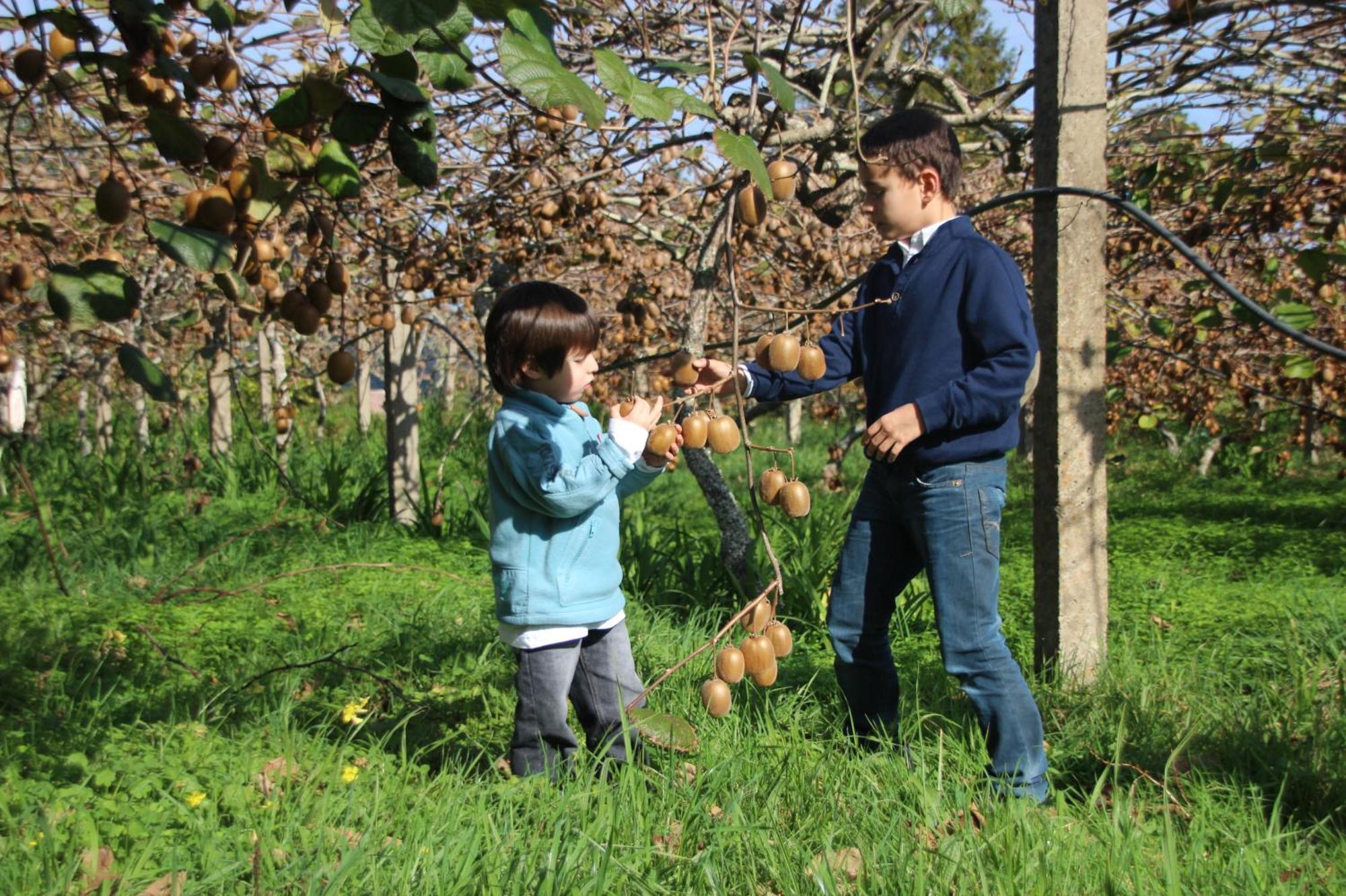 Bio Quinta Do Pantano, Agro Turismo Βίλα Santo Antonio da Serra Εξωτερικό φωτογραφία