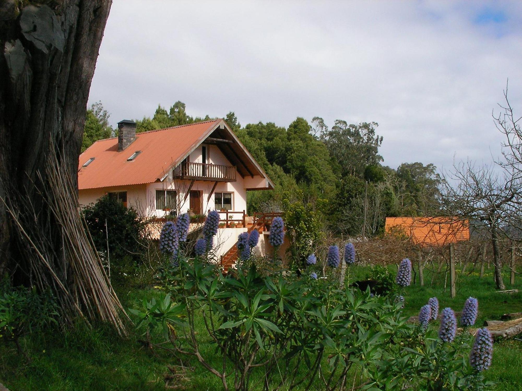 Bio Quinta Do Pantano, Agro Turismo Βίλα Santo Antonio da Serra Εξωτερικό φωτογραφία