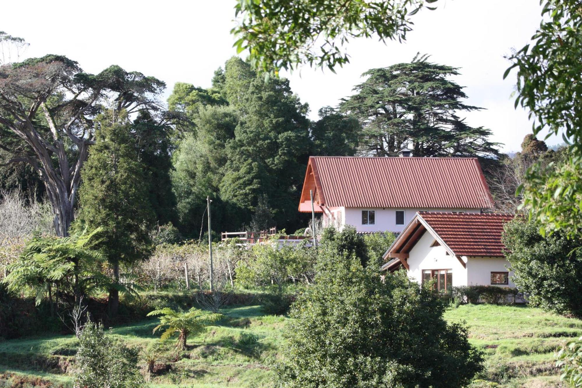Bio Quinta Do Pantano, Agro Turismo Βίλα Santo Antonio da Serra Εξωτερικό φωτογραφία