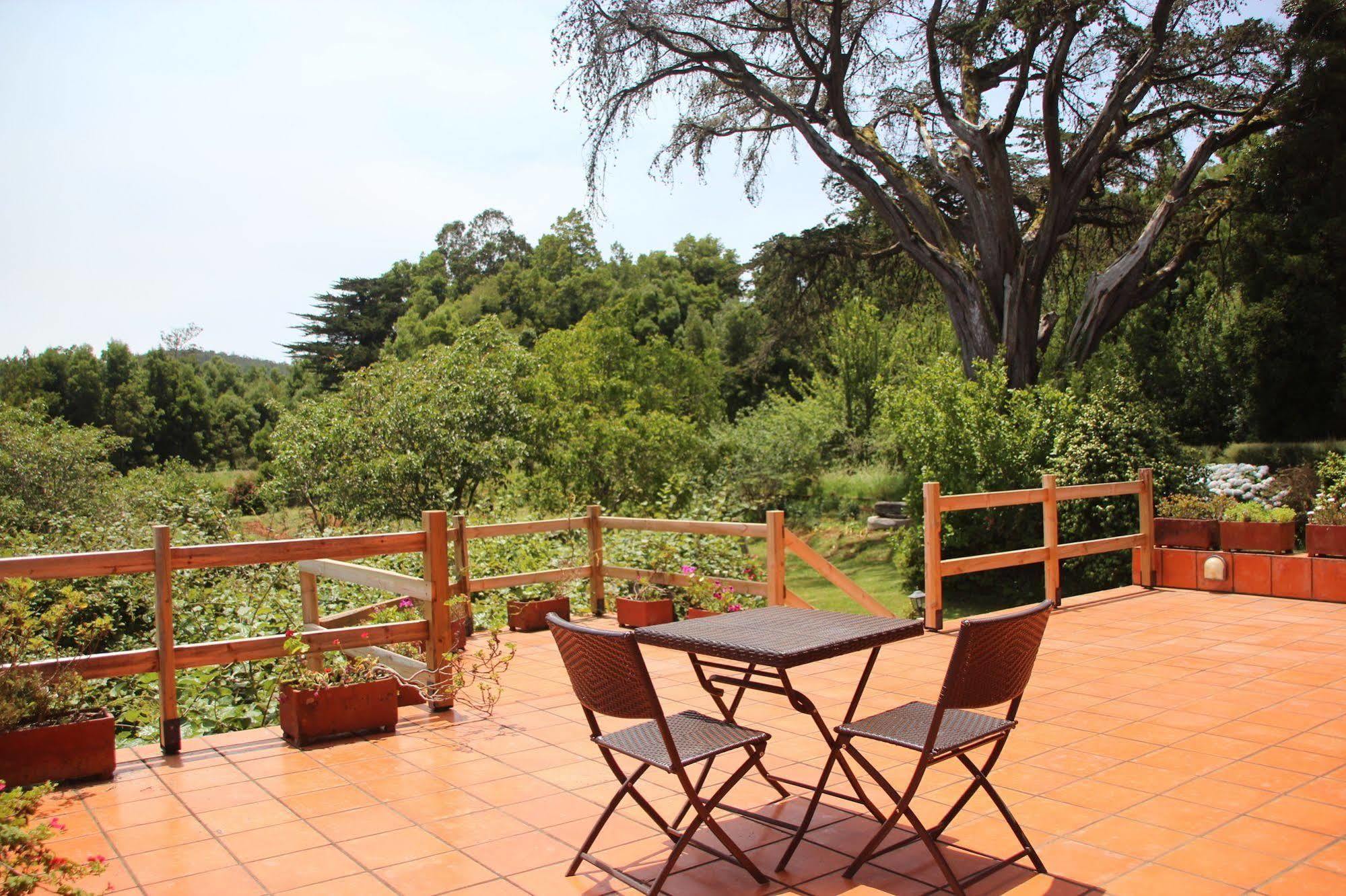 Bio Quinta Do Pantano, Agro Turismo Βίλα Santo Antonio da Serra Εξωτερικό φωτογραφία
