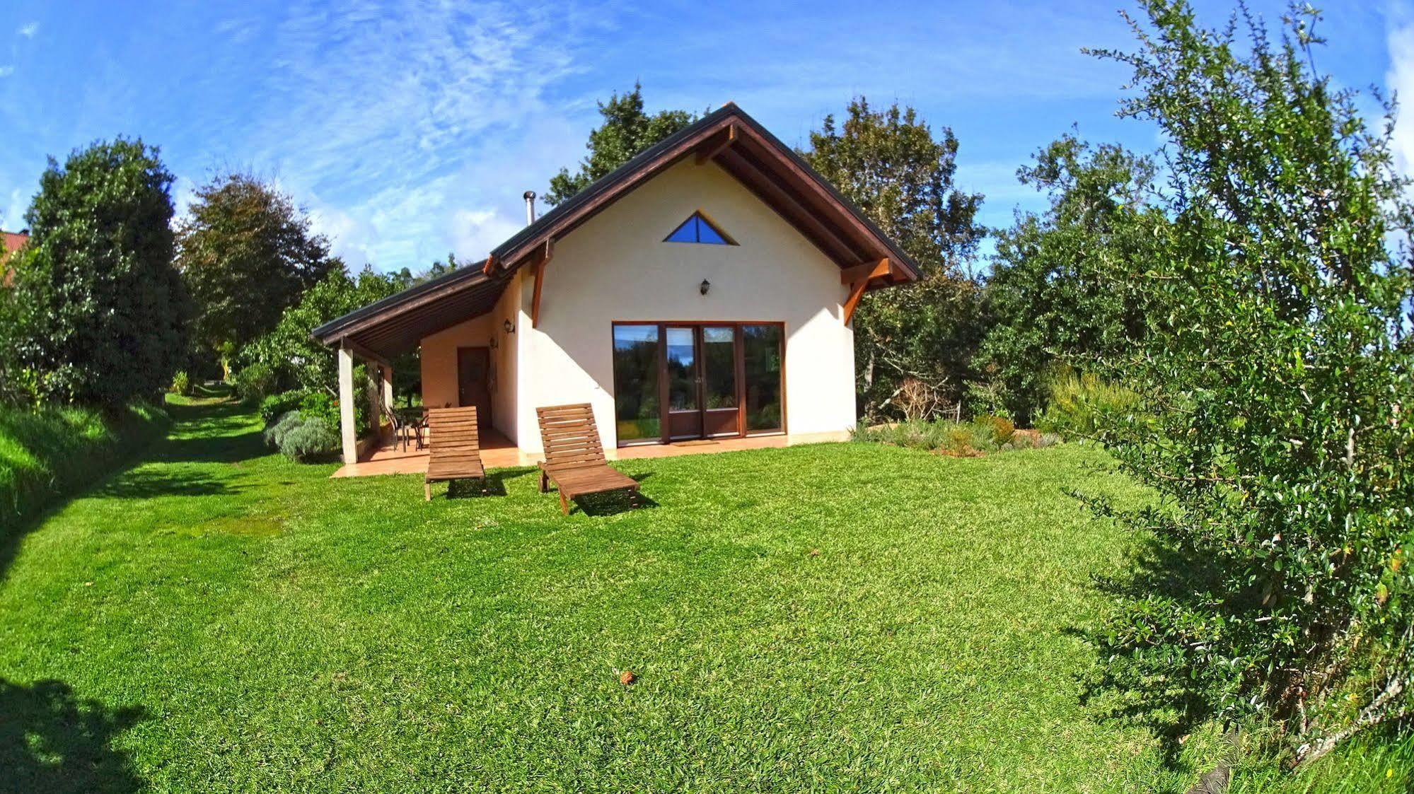 Bio Quinta Do Pantano, Agro Turismo Βίλα Santo Antonio da Serra Εξωτερικό φωτογραφία